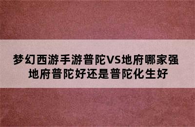 梦幻西游手游普陀VS地府哪家强 地府普陀好还是普陀化生好